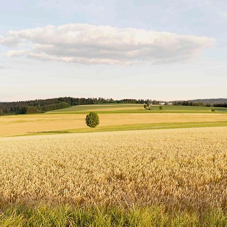 Bantlehof Apartment Niedereschach Bagian luar foto